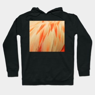 Flamingo Feathers Hoodie